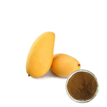 best quality manufacturer supply wild mango seed powder extract